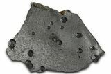 Plate of + Red Embers Garnets in Graphite - Massachusetts #375795-1